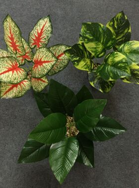 厂家 仿真植物绿萝叶 9头把束过胶万年青 室内装饰绿植旅人蕉