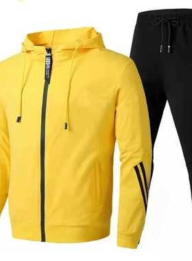 Men's Autumn Winter Sets Zipper Hoodie+pants Two Pieces Casu