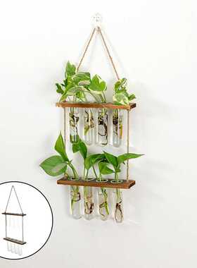 Wall Hanging Terrarium Flower Glass Planter Propagator for P