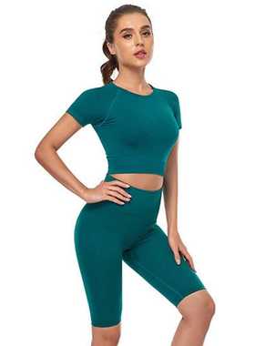 Summer orts Sets Women's Tracksuit Seamless Sportswe