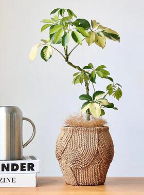 仿蒲草编织水泥花盆藤编草编绿植盆栽套盆流泉枫装饰盆器高款摆件