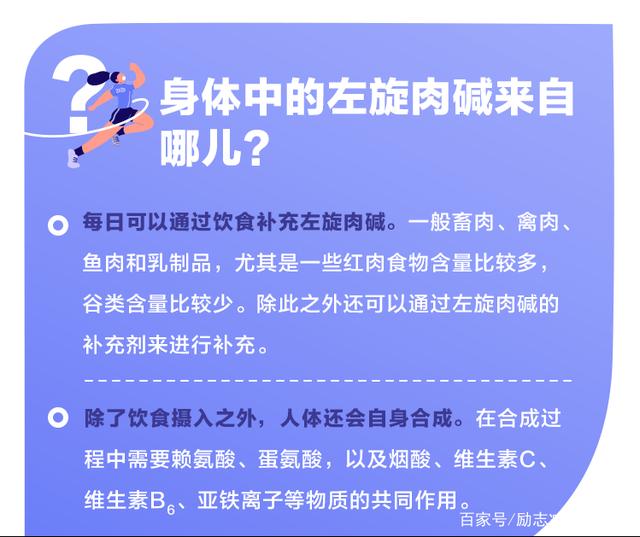 食品级L-肉碱脂肪终结者卡尼丁左旋肉碱粉carnitine健身补剂运动-图0