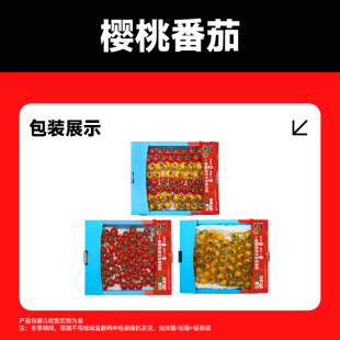 【一颗大】串收樱桃番茄