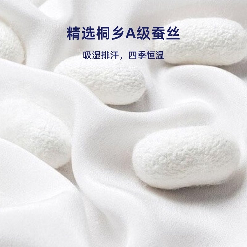vesta轻奢恒温四季保暖轻柔蚕丝被 Vesta蚕丝被