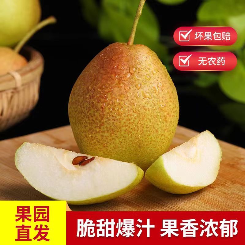 爆甜红香酥梨源自新疆的香梨应季水果新鲜梨1/3/5/10斤包邮 - 图1