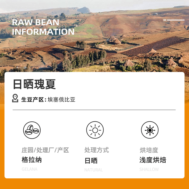 DGTOP咖啡埃塞俄比亚瑰夏咖啡豆单品耶加雪菲日晒浅烘手冲黑咖啡