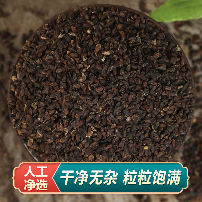 中药材车前草种籽新鲜车前子种子种植苗四季播种阳台盆栽籽 - 图0