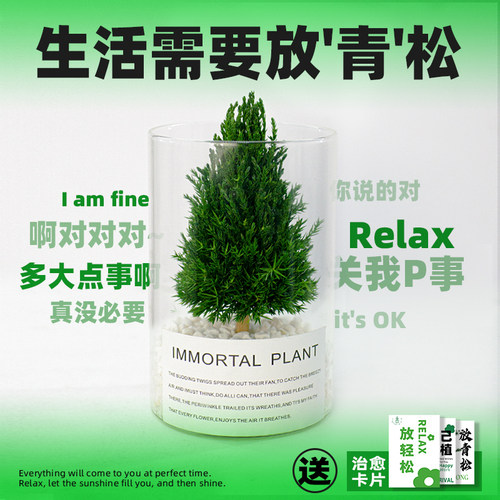 放青松办公室桌面绿植工位解压神器稳定情绪花卉室内植物生日礼品 - 图1