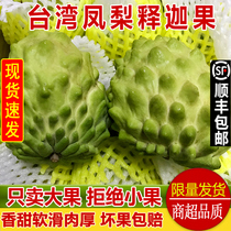 Taiwans big-destination pineapple Sakago 5 catties of fresh milk Fresh Milk Lychee Tropical Fruit Big Fruit Pregnant Woman Shunfeng