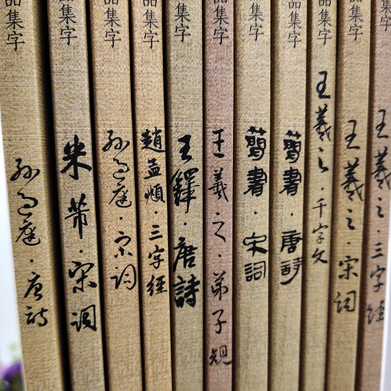 全20册 中国历代书法名家作品集字 颜真卿米芾王羲之孙过庭赵孟頫王铎苏轼唐诗宋词三字经千字文简书楷书行书草书字帖大全临摹范本
