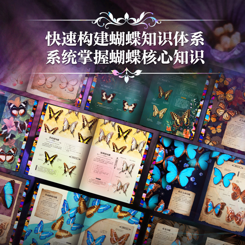 【正版新书】世界蝴蝶全书刷边版 800多种珍奇蝴蝶 蝴蝶百科全书科普书籍 野外蝴蝶品种分类科普读物鉴赏 有书至美