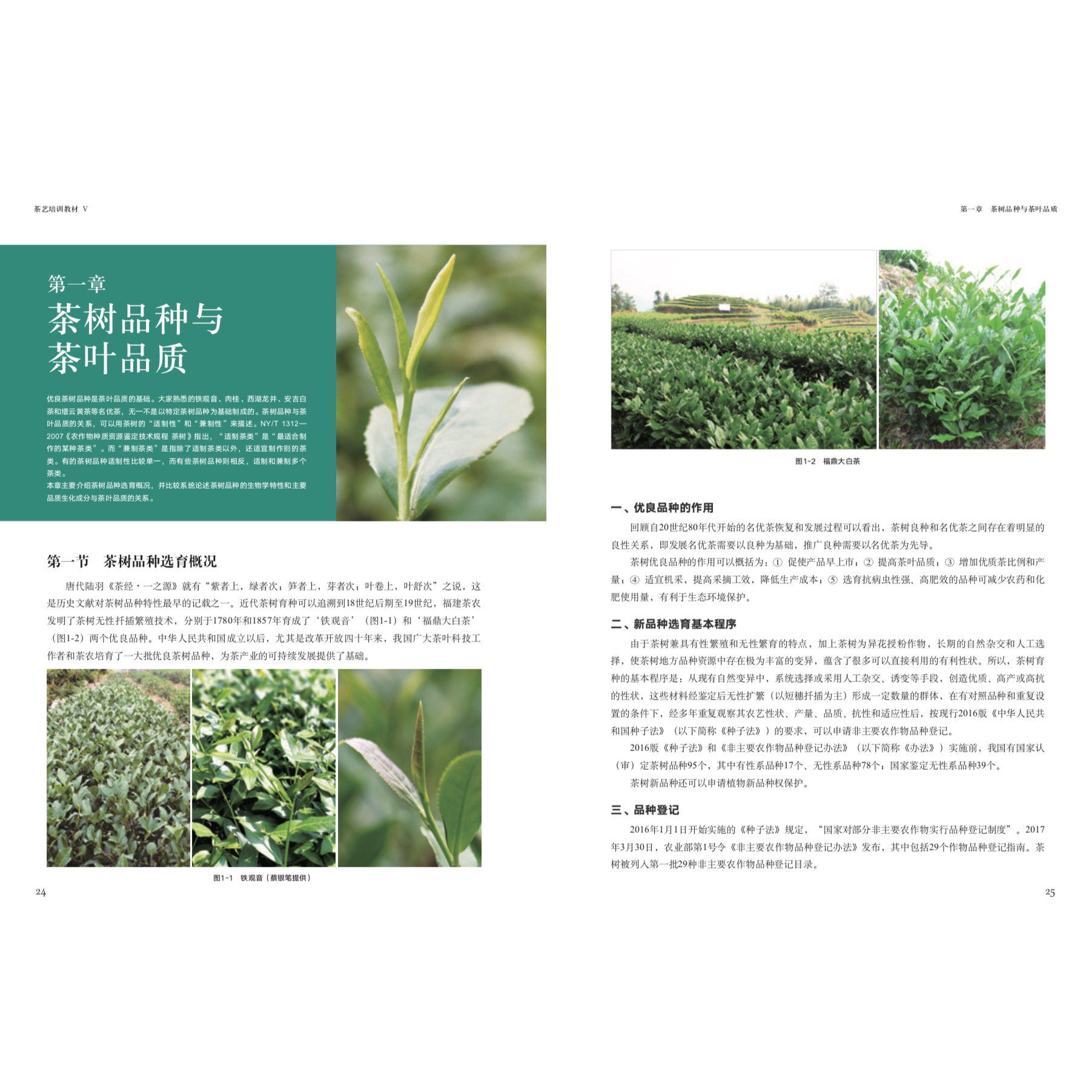 茶艺培训教材12345全套5册初级至高级周智修茶艺课程基础知识茶艺师等级认定教程中国茶叶学会识茶泡茶茶艺从入门到精通茶文化书籍,淘宝优惠券,粉丝福利购,淘宝优惠卷