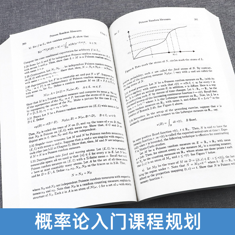 概率论入门 A Probability Path Sidney，I.Resnick概率论教程统计应用概率论生物运筹学数学金融工程专业本科生用书世界图书-图1