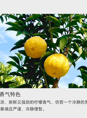 意大利柠檬精油单方护肤精油