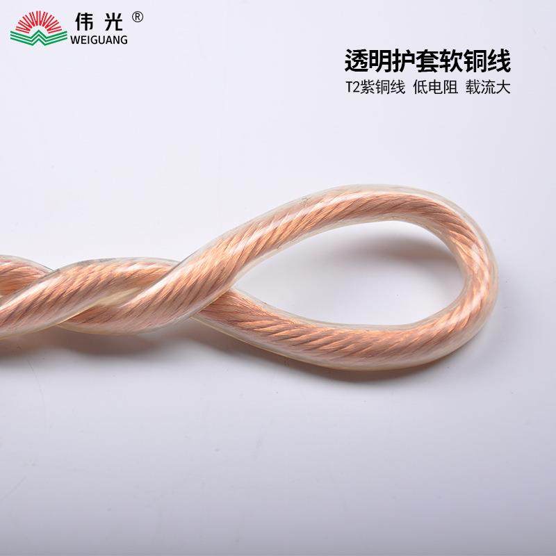 伟光 高压接地线10kv35kv户外高压国标接地线挂钩螺旋双簧接地棒,淘宝优惠券,粉丝福利购,淘宝优惠卷