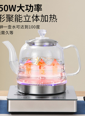 全自动上水电热水壶单炉烧水壶