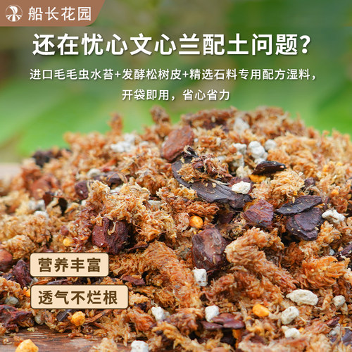 文心兰专用土毛毛虫水苔蝴蝶兰石斛发酵松树皮混合植料颗粒兰花土 - 图0