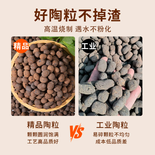 陶粒养花专用通用型花盆垫底空心陶粒园艺多肉花盆保湿颗粒瓶水培 - 图2