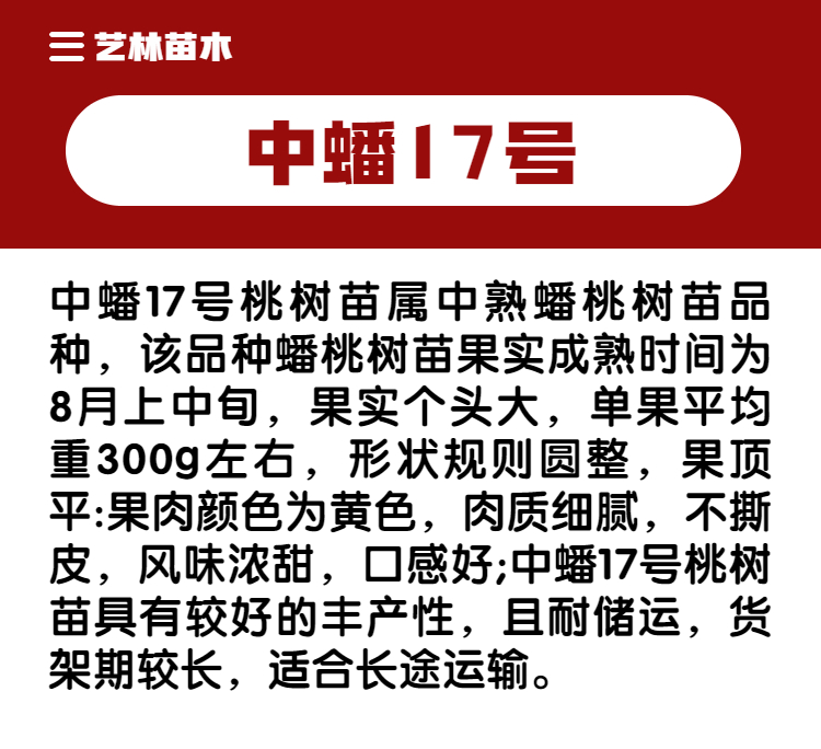 黄金蟠桃树苗特大黄肉扁桃蟠桃苗中蟠17号桃苗南方北方种植果树苗 - 图0