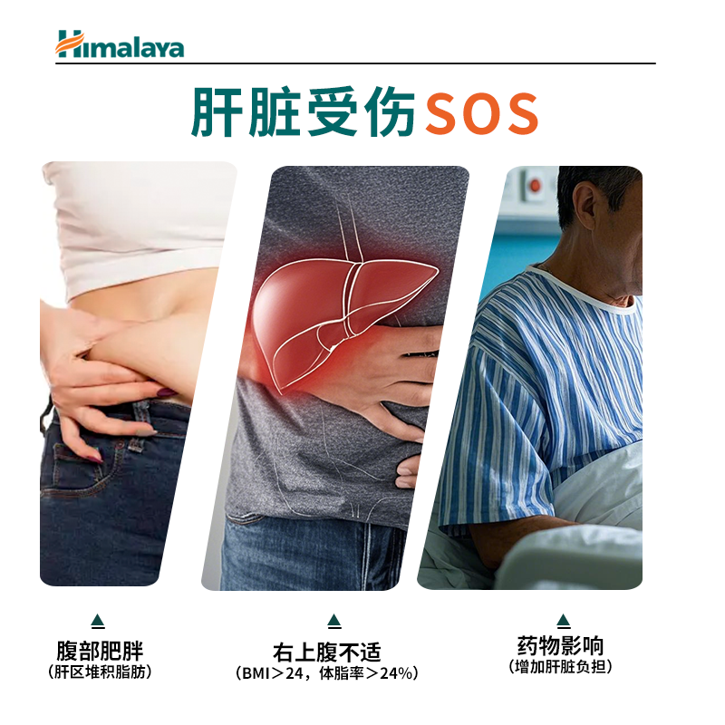 喜马拉雅护肝片男女性养肝护肝熬夜加班解酒进口正品官方旗舰店