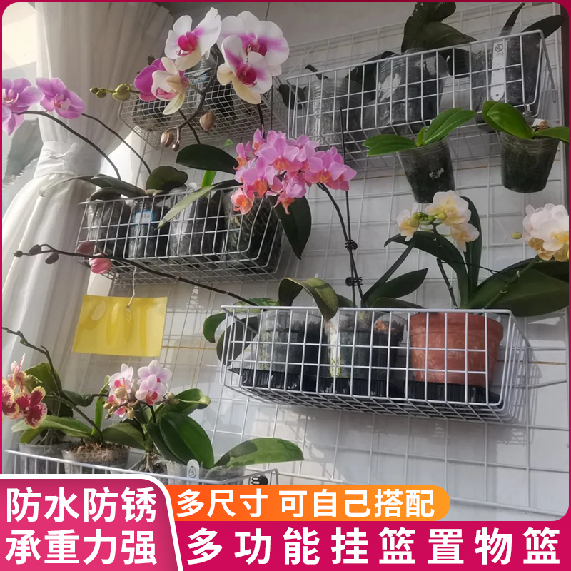 加粗铁丝网格挂篮蝴蝶兰吊篮阳台植物爬藤花架墙上宿舍超市置物篮 - 图2