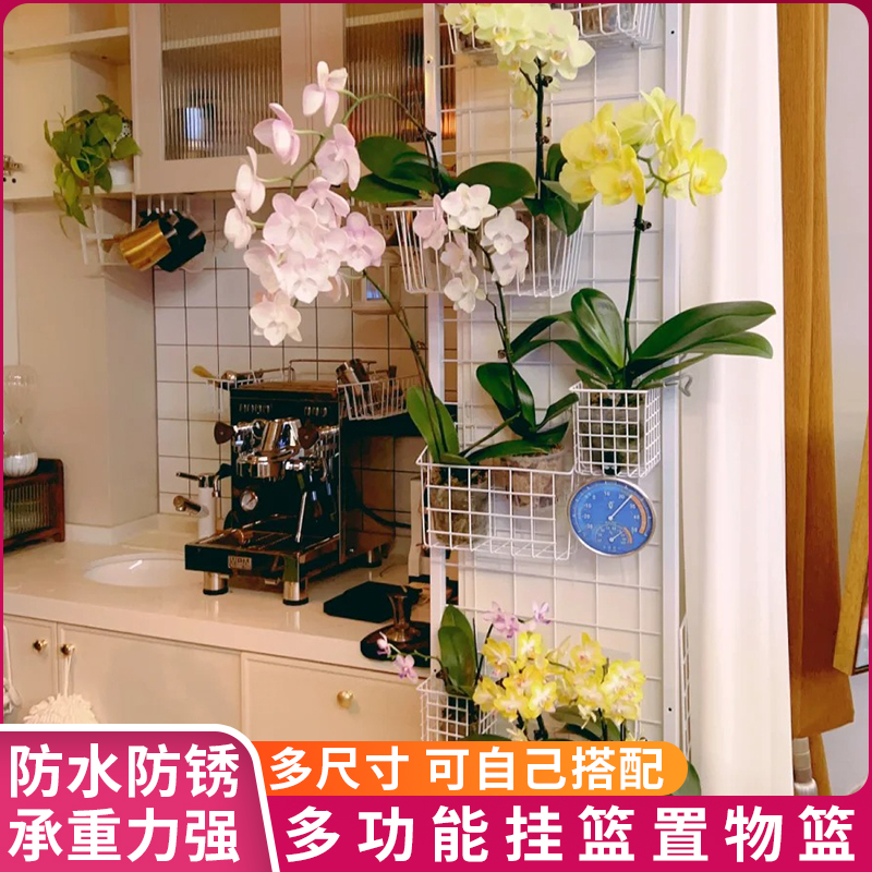 加粗铁丝网格挂篮蝴蝶兰吊篮阳台植物爬藤花架墙上宿舍超市置物篮 - 图0