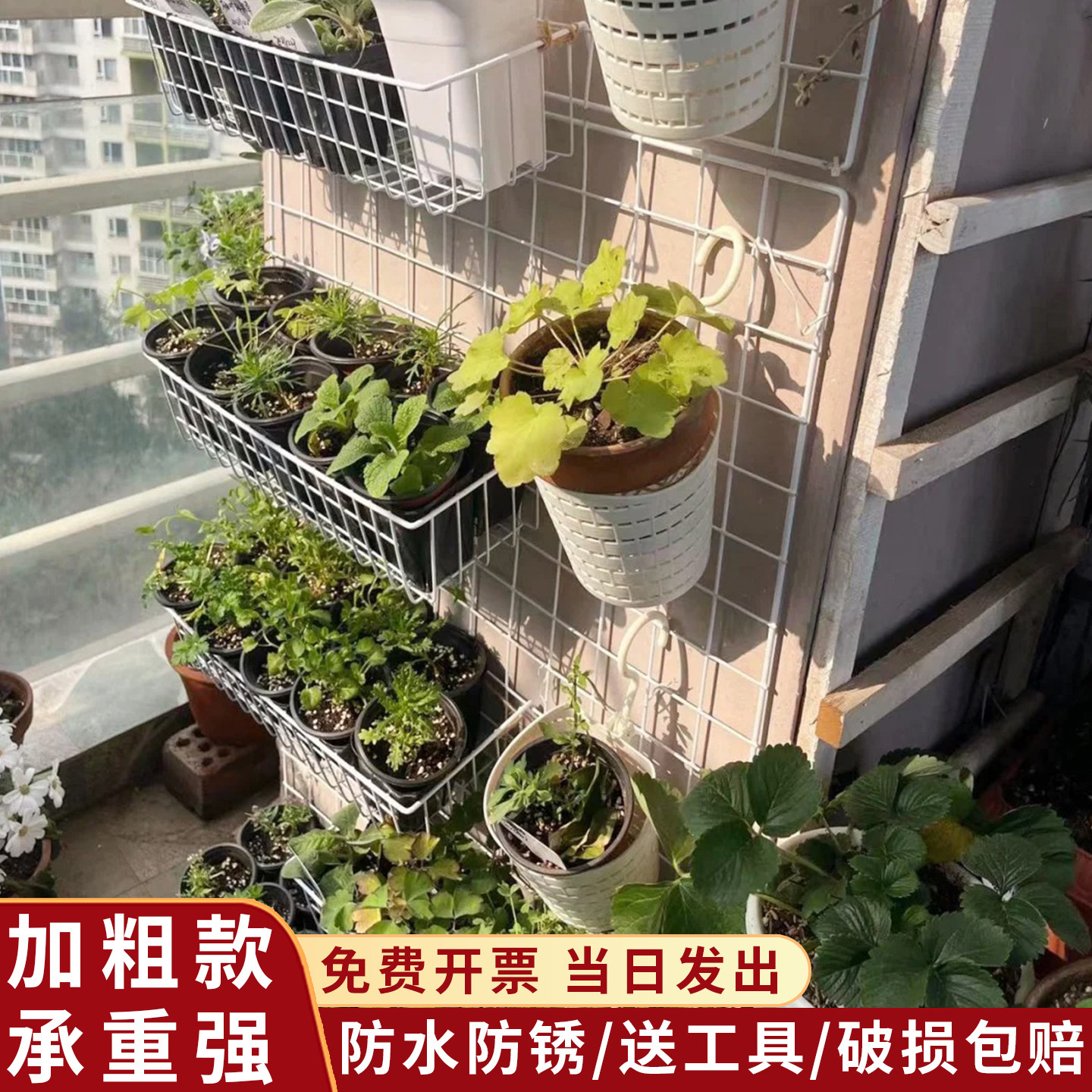图5