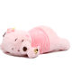 Disney Winnie the Pooh Plush Doll