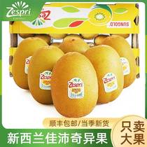 New Zealand Jiapi Exotic Fruit Golden Fruits Fresh Fruit Sweet Season Imported Yellow Heart Macaque Peach Cisa Gift Box