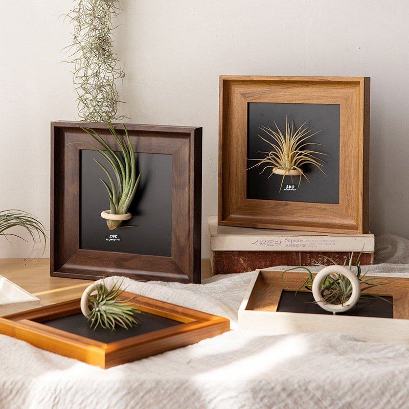 空气凤梨相框摆台复古高级感空框挂墙方形中古磁吸冰箱贴装饰画框,淘宝优惠券,粉丝福利购,淘宝优惠卷