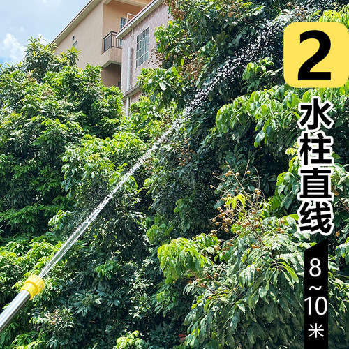 往复式喷雾器喷枪农用打药消毒园艺浇花不锈钢拉杆手动抽拉式水枪 - 图1