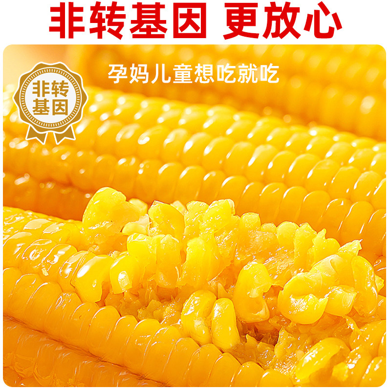 东北糯玉米甜糯黄玉米真空包装2025新粘糯玉米大棒黏苞米早餐代餐