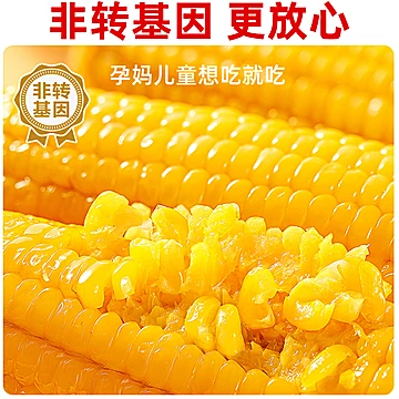 【300g*8根】东北黄糯玉米绿色食品认证[5元优惠券]-寻折猪