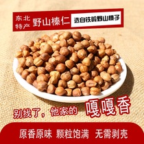 23 years of Zhizuhitos new cargo Noyama Little hazelnut kernel handpicked to shell nut kernel 250g 500g