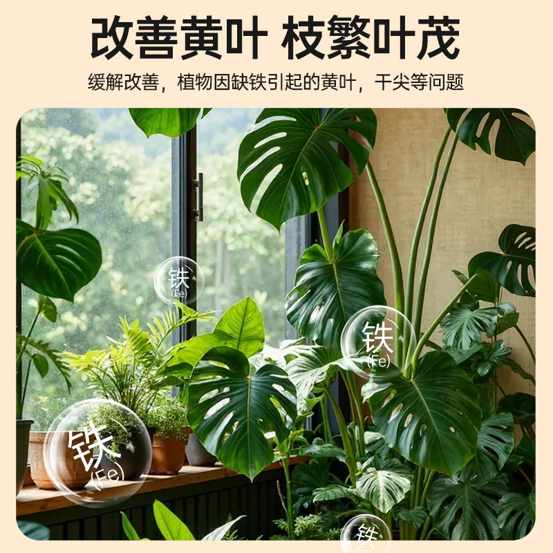 彩乐植硫酸亚铁土壤调酸剂溶液植物营养液酸性养花专用水溶肥料,淘宝优惠券,粉丝福利购,淘宝优惠卷