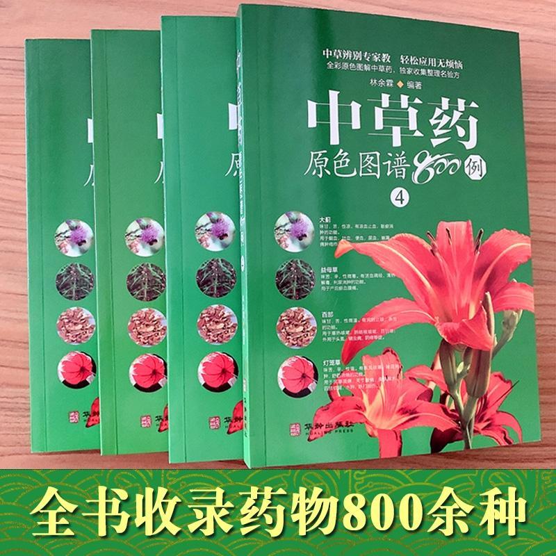 中草药原色图谱800例(1-4) 林余霖 中国药典中药原色图谱彩图版精装 正版图解中草药中药材彩色图谱 - 图1