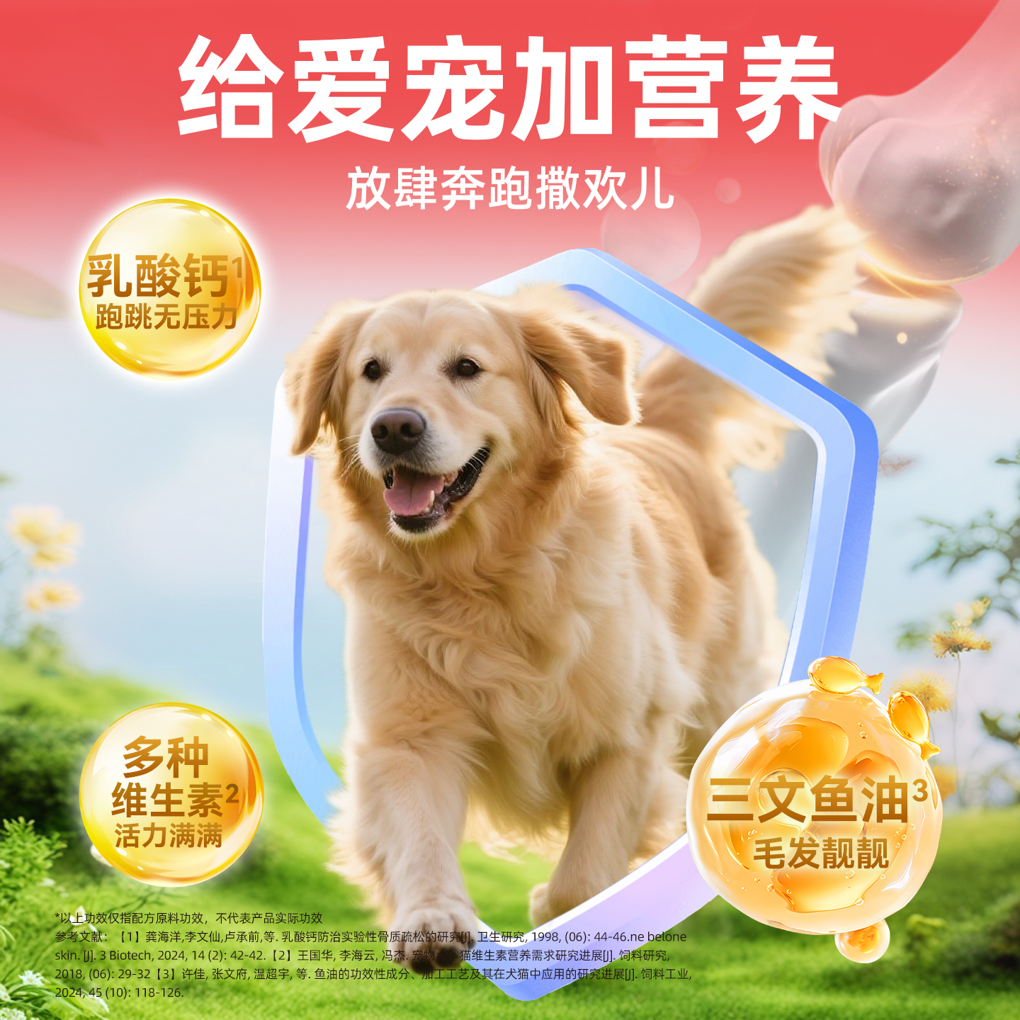 老年犬专用主食罐头高龄犬软粮湿粮拌狗粮老狗泰迪营养品24罐整箱 - 图3