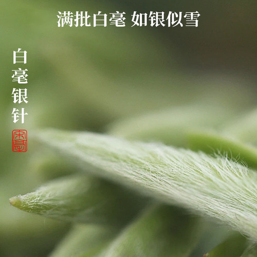 宋毫2022年名匠常见·特级白毫银针福鼎白茶散茶明前茶叶礼盒装-图3