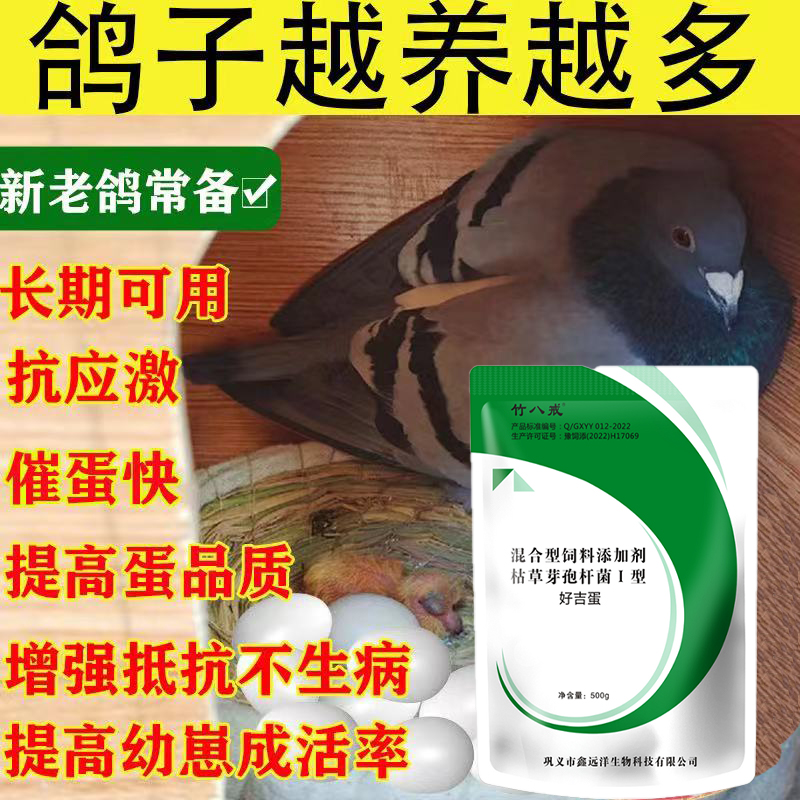 鸽子专用增蛋多多提高受精率鸽子不下蛋鸽子保健沙增蛋宝鸽子下蛋-图1