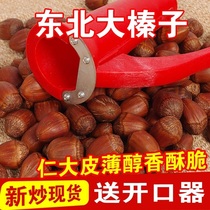 Northeast Great Hazelnut Hünjen Great Hazelnut Year Fresh hazelnut fried cooked and delivered with advanced clip 250 gr up