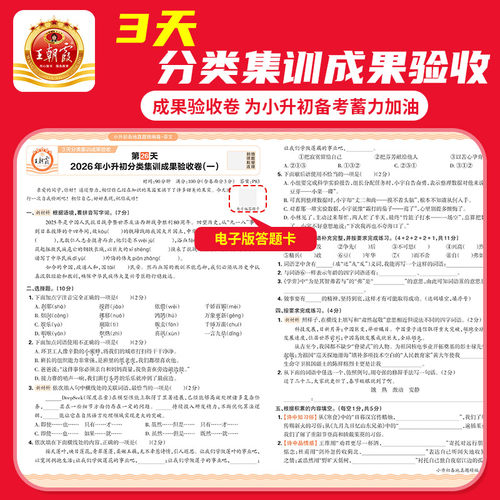 2026新小升初真题卷王朝霞试卷全套名校期末真题精编卷必刷题人教版六年级下册语文数学英语专项训练总复习资料小升初寒假衔接作业 - 图3