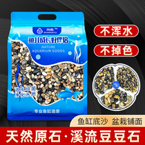 Natural native goose pebble stream stone bean stone fish tank laid bottom sand water ethnic group view decoration filter rain flower pebble