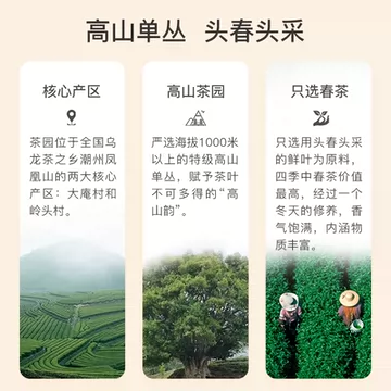 小琼大富凤凰单丛单枞茶潮州乌龙茶叶特级[20元优惠券]-寻折猪