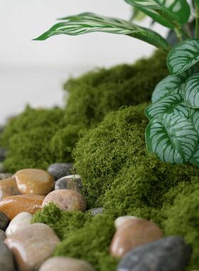 仿真植物造景配材仿生苔藓假绿植青苔铺面加大加厚盆景装饰草皮