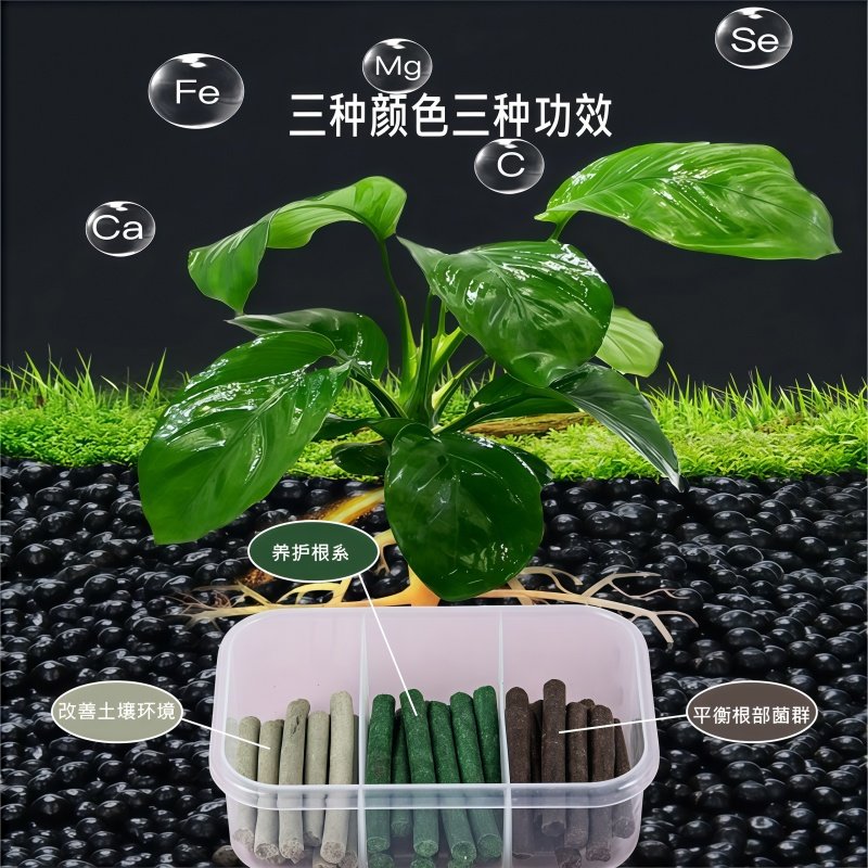 三色植物营养棒缓释棒盆栽花卉多肉通用型缓释营养棒养花肥急救棒,淘宝优惠券,粉丝福利购,淘宝优惠卷