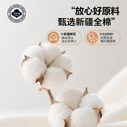 床垫宿舍学生单人纯棉专用薄款褥子90x190防滑隔脏床单软垫可机洗 - 图0