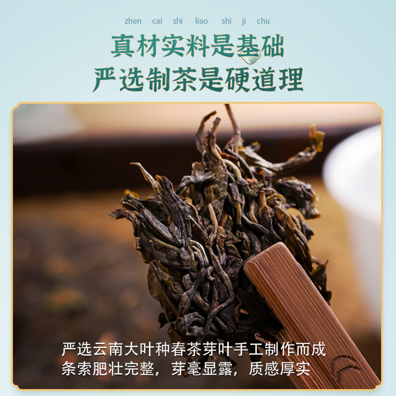 云南云之上古树高端普洱茶大叶种春茶饼茶生茶陈香送礼收藏非熟普