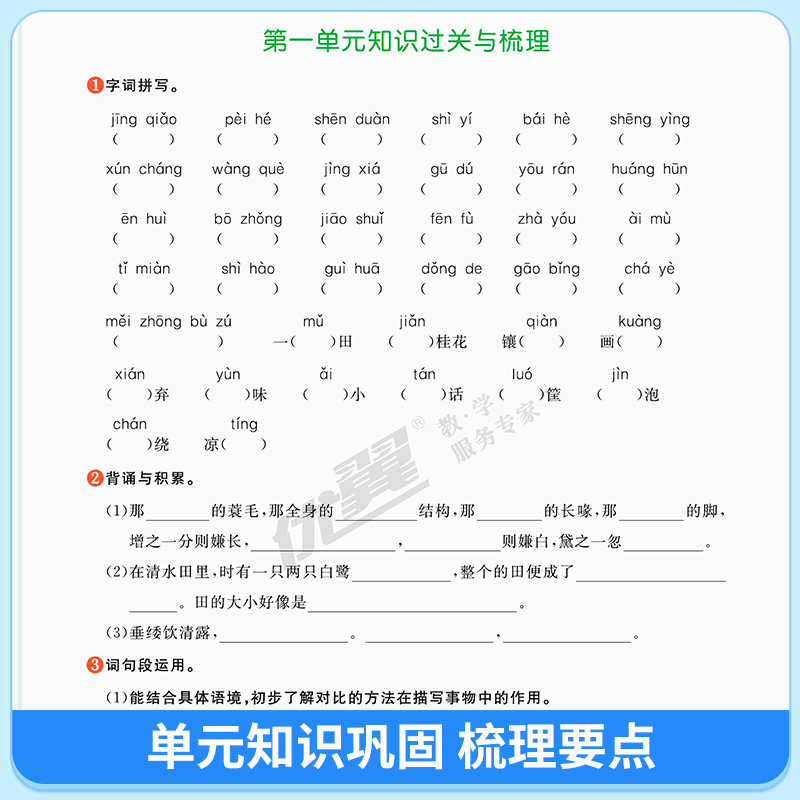 【卓越版】2025秋优翼新领程卓越版小学语文数学英语一二三四五六年级上下册人教版北师同步课本随堂一课一练教材同步练习 - 图3