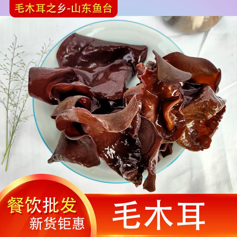  洽零人黑木耳