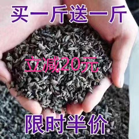  洽零人黑木耳